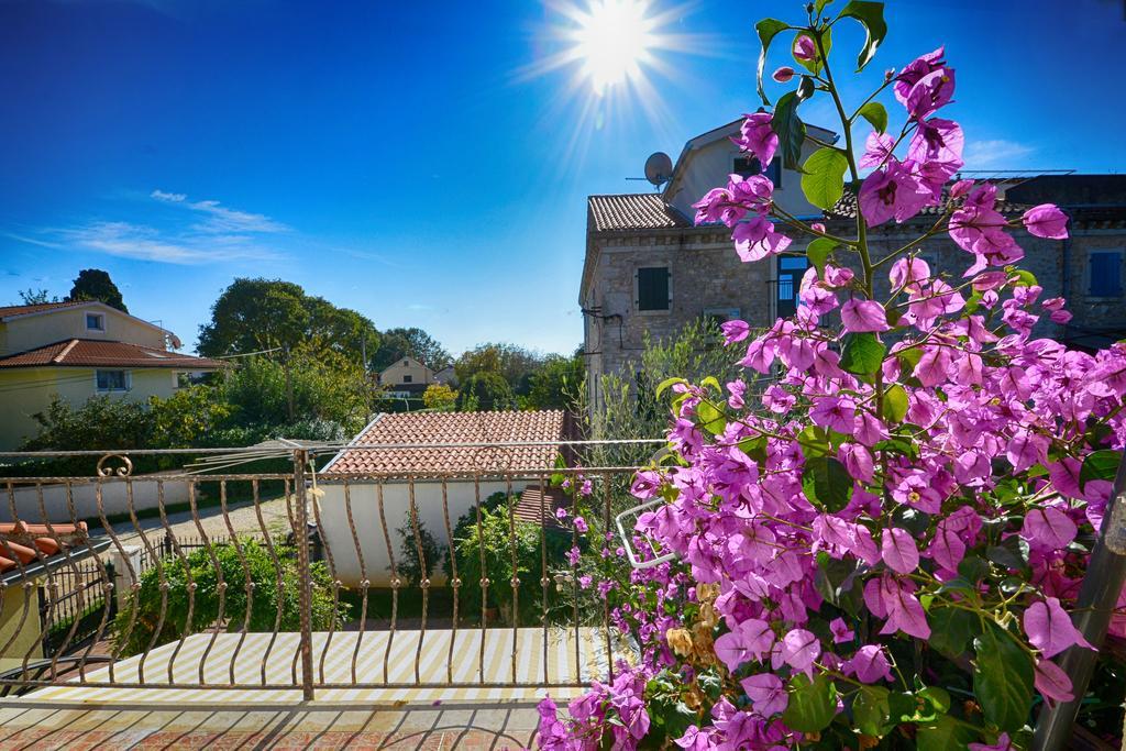 Sonja Vacation House Poreč Dış mekan fotoğraf